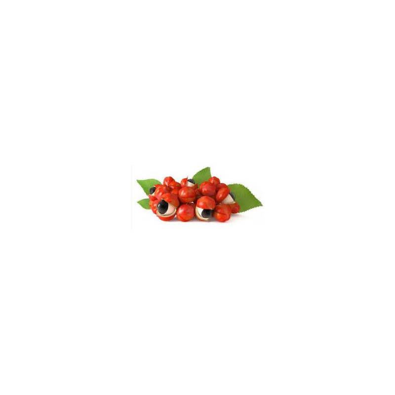 Guarana (Paullinia cupana)  100g  triturated