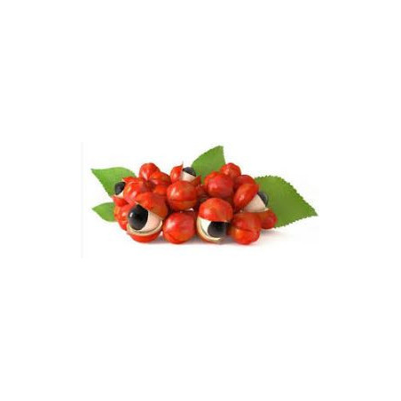 Guarana (Paullinia cupana)  100g  triturated