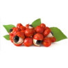 Guarana (Paullinia cupana)  100g  triturated