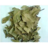 Jambulbaum - Jambolao - (Syzygium cumini)  30g