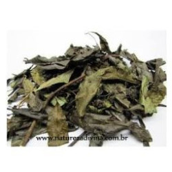 Porangaba (Cordia Salicifolia) 30g