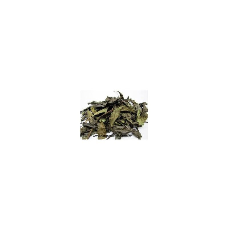 Porangaba (Cordia Salicifolia) 30g