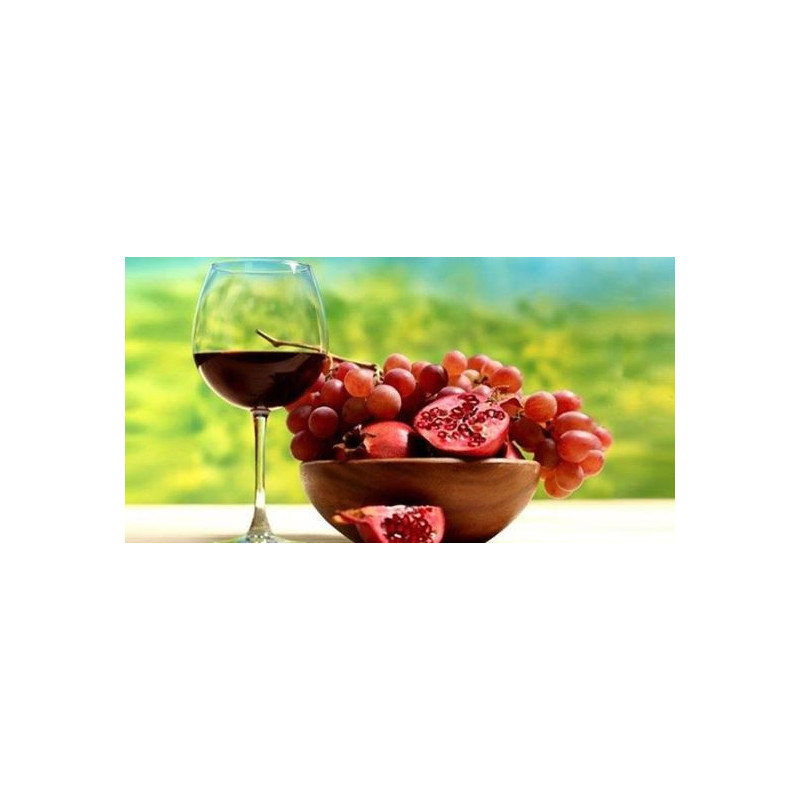 Resveratrol  OPC  120 Kapseln 50mg