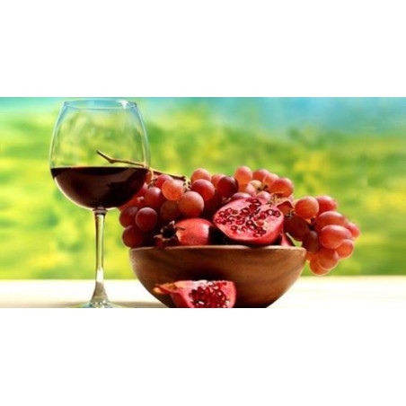 Resveratrol  OPC  120 Kapseln 50mg