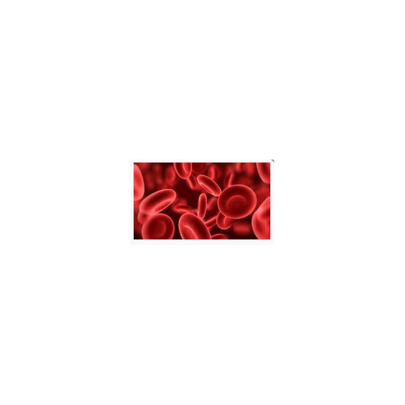 Nattokinase 100mg  120 Kapseln