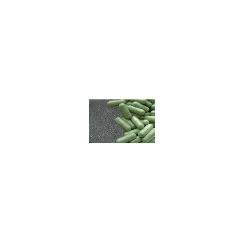 Indian Herbs Kapseln  300mg  120 Kapseln