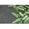 Indian Herbs Kapseln  300mg  120 Kapseln