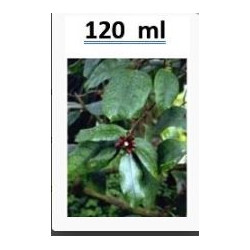 Quabain Mother tincture , (Strophanthus gratus) 120ml