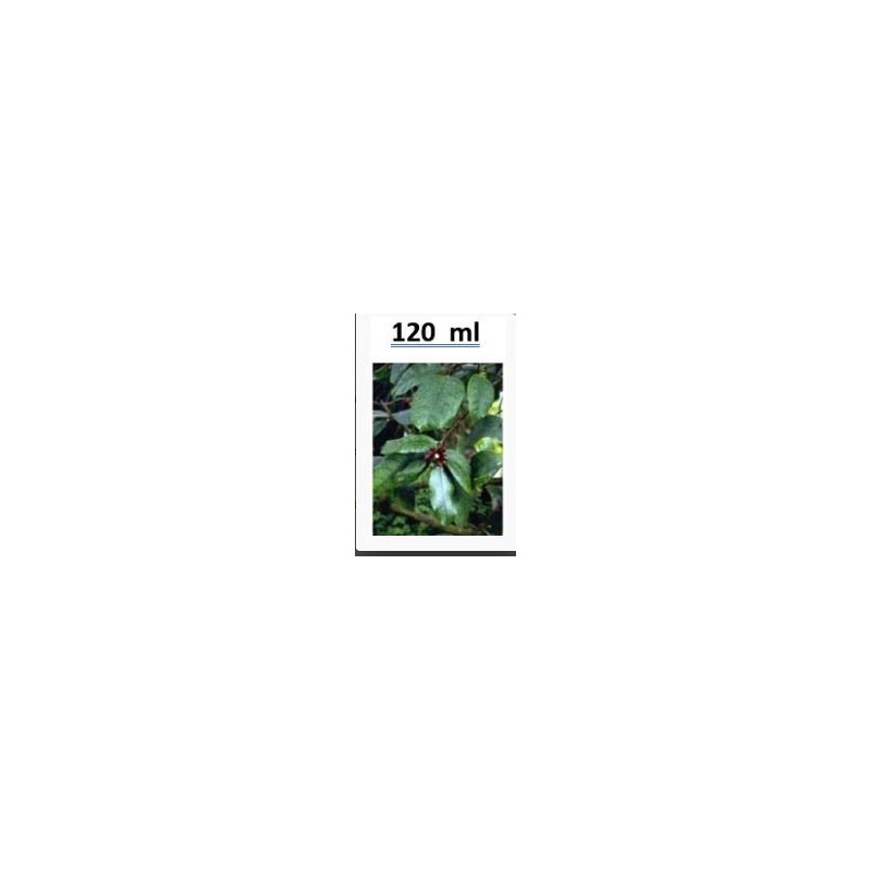 Strophanthin Urtinktur Natur pur ( Strophanthus gratus) 120ml