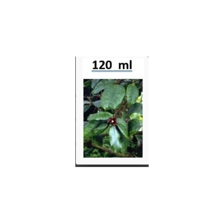Quabain Mother tincture , (Strophanthus gratus) 120ml
