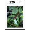 Quabain Mother tincture , (Strophanthus gratus) 120ml