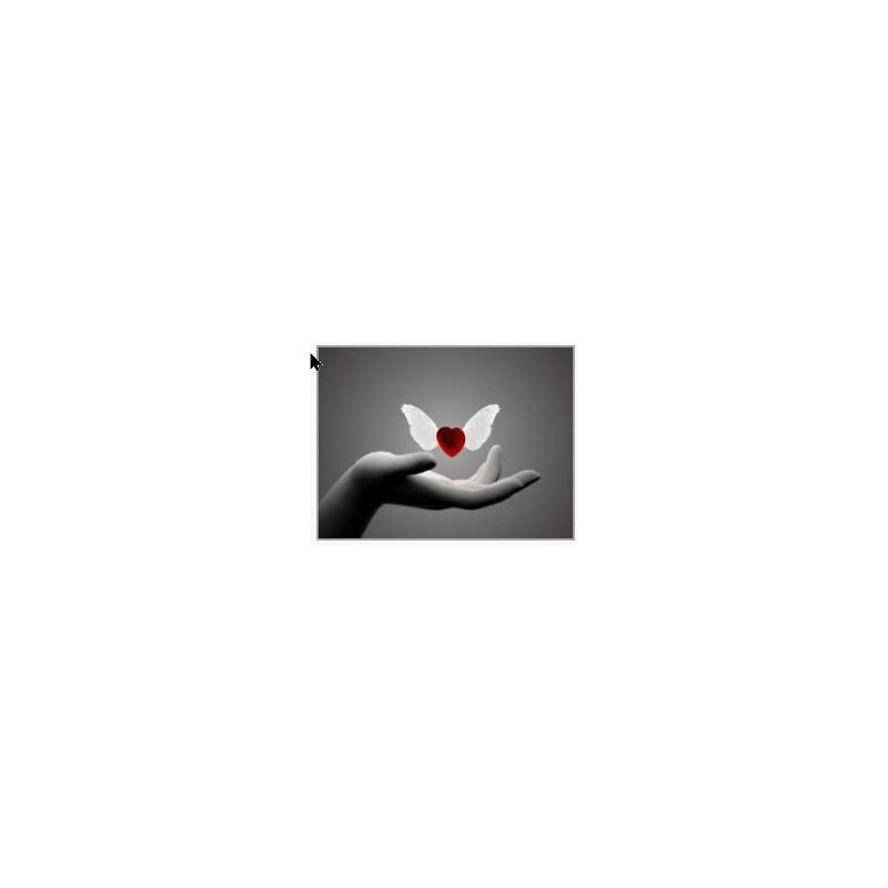 Heart mixture 120ml