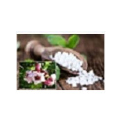 G-Strophanthin Pastillen 60 stueck
