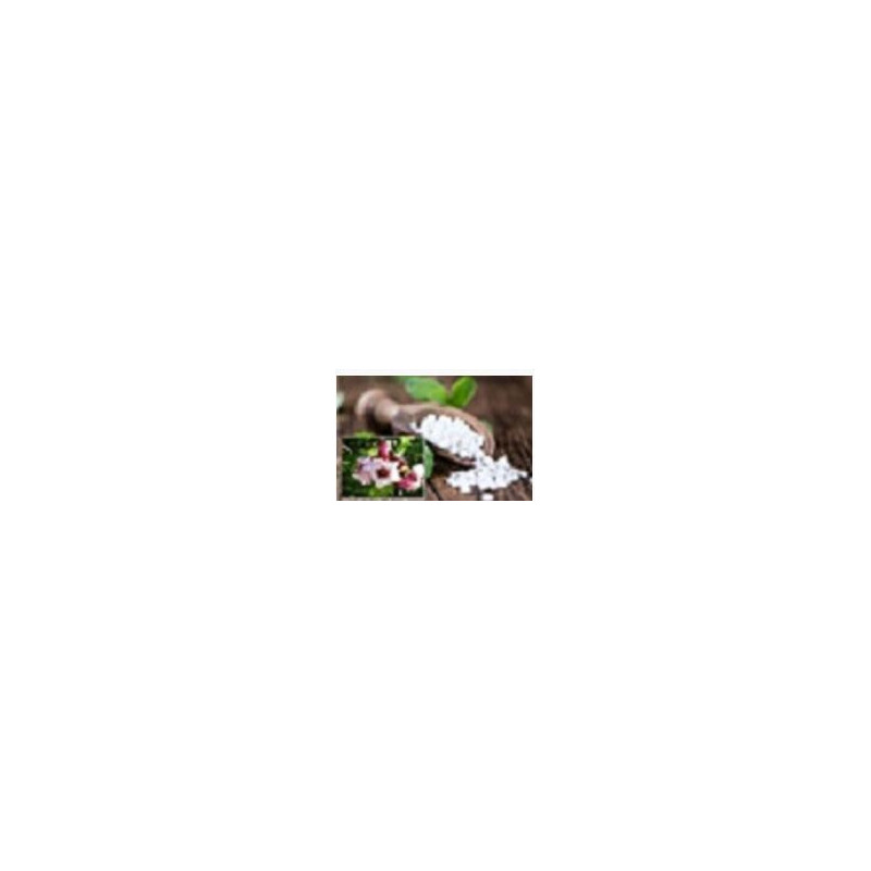 G-Strophanthin Pastillen 60 stueck